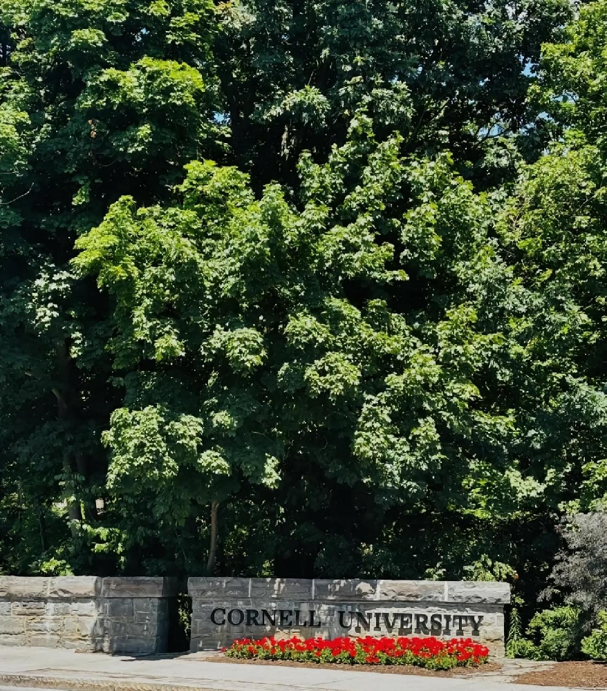 康奈尔大学 (Cornell University, Cornell)