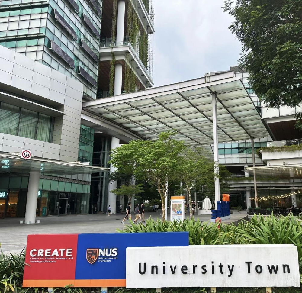 新加坡国立大学 (National University of Singapore, NUS)